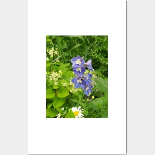 Delphinium, Daisy, hydrangea, oh my! Posters and Art